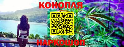 прущие грибы Ирбит