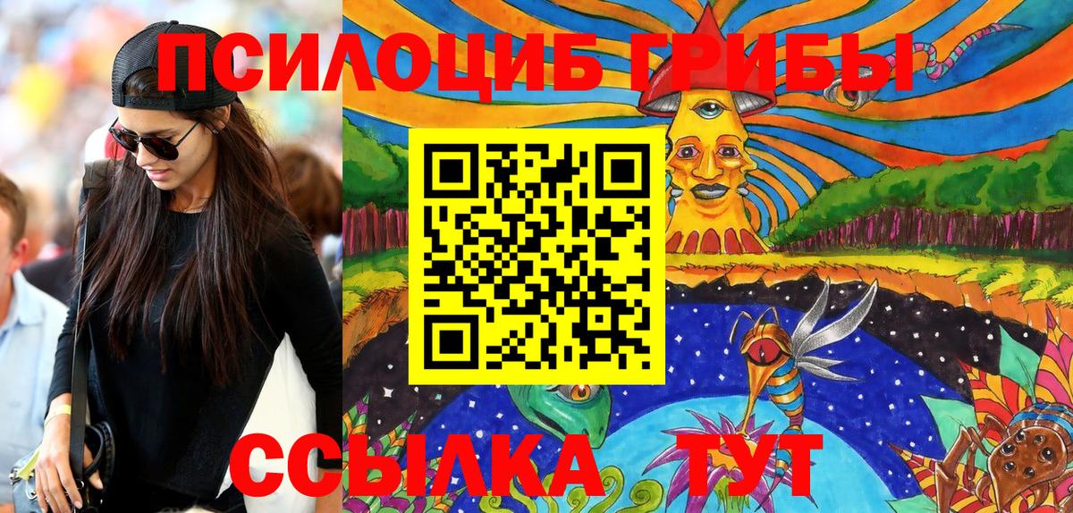 Псилоцибиновые грибы Psilocybine cubensis  Вход с VPN  Лесной 